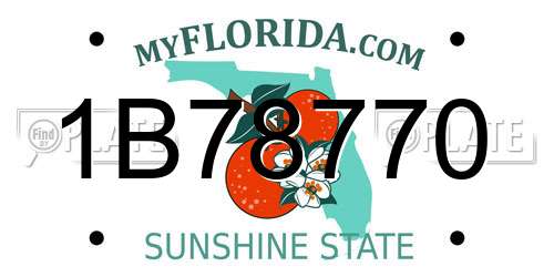 1B78770 Florida License Plate
