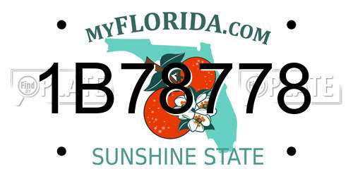 1B78778 Florida License Plate