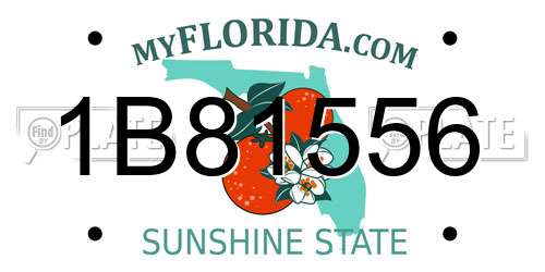 1B81556 Florida License Plate