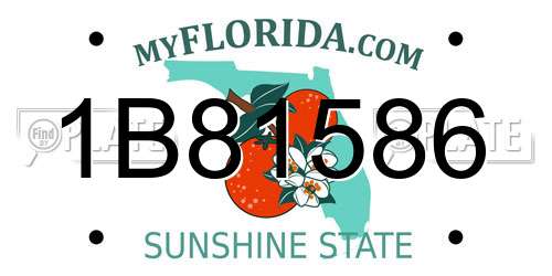 1B81586 Florida License Plate