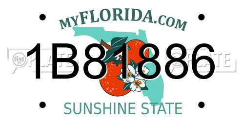 1B81886 Florida License Plate