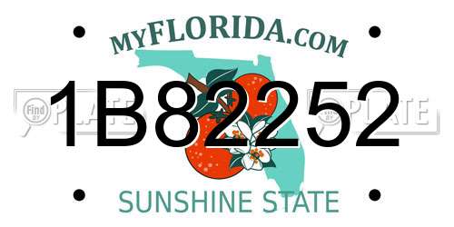1B82252 Florida License Plate