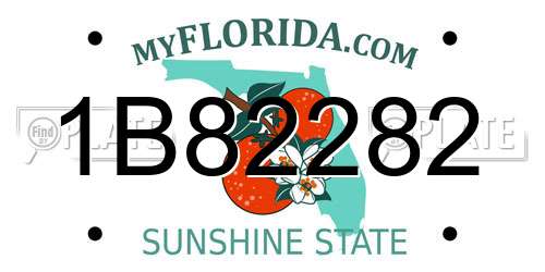 1B82282 Florida License Plate