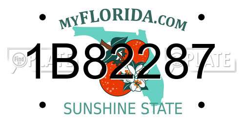 1B82287 Florida License Plate