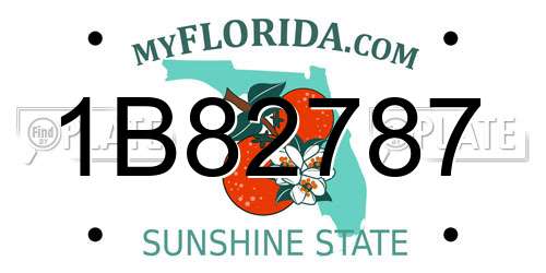 1B82787 Florida License Plate