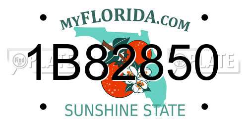 1B82850 Florida License Plate