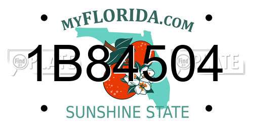 1B84504 Florida License Plate