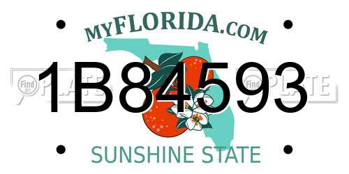1B84593 Florida License Plate