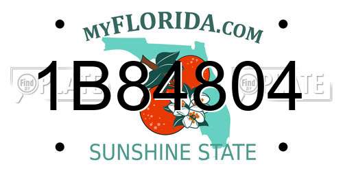1B84804 Florida License Plate