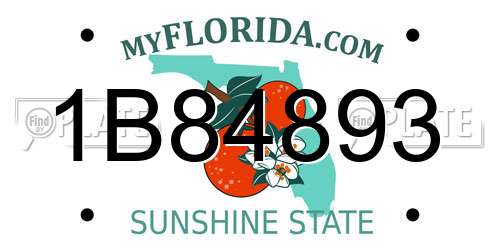 1B84893 Florida License Plate
