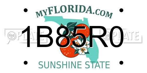 1B85R0 Florida License Plate
