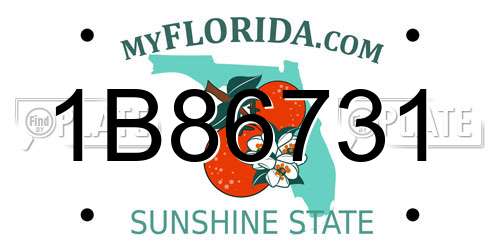 1B86731 Florida License Plate