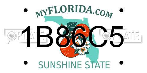 1B86C5 Florida License Plate
