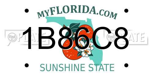 1B86C8 Florida License Plate