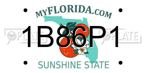 1B86P1 Florida License Plate