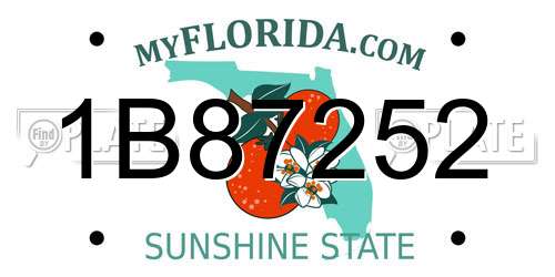 1B87252 Florida License Plate