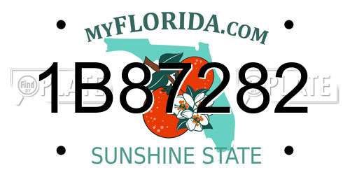 1B87282 Florida License Plate