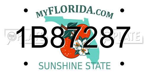 1B87287 Florida License Plate