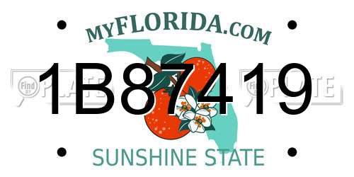 1B87419 Florida License Plate