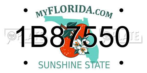1B87550 Florida License Plate