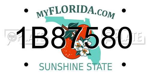 1B87580 Florida License Plate