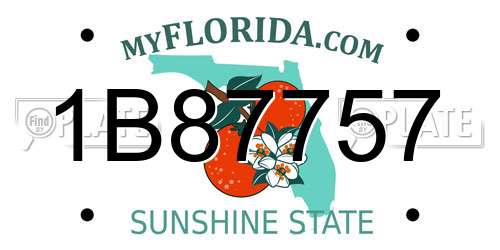 1B87757 Florida License Plate