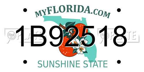 1B92518 Florida License Plate