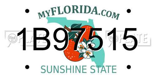 1B97515 Florida License Plate