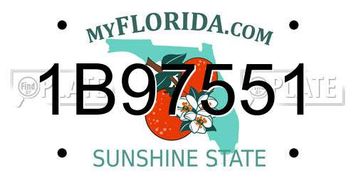 1B97551 Florida License Plate