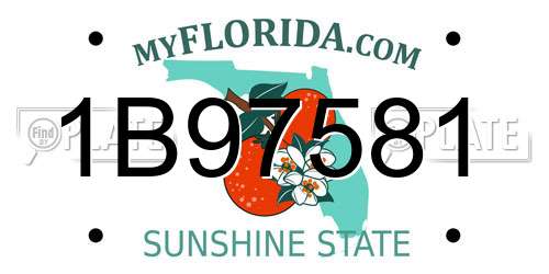 1B97581 Florida License Plate