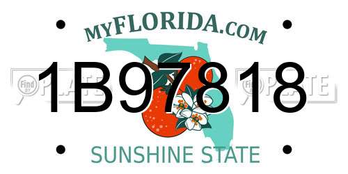 1B97818 Florida License Plate