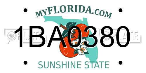 1BA0380 Florida License Plate