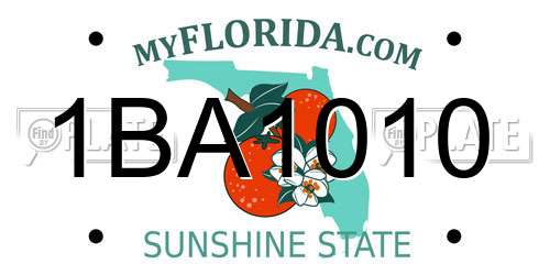 1BA1010 Florida License Plate