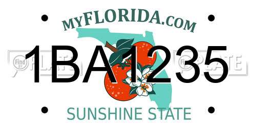1BA1235 Florida License Plate