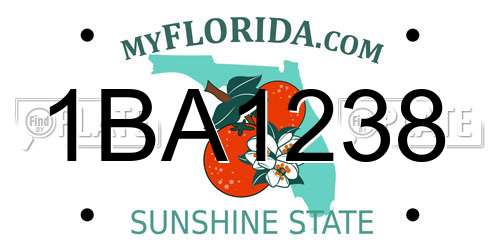 1BA1238 Florida License Plate