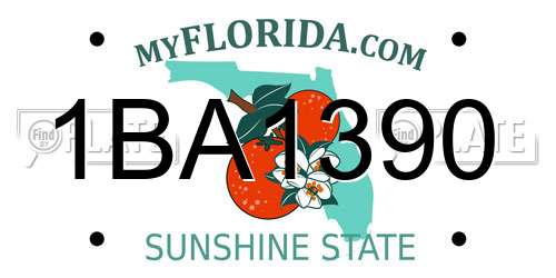 1BA1390 Florida License Plate
