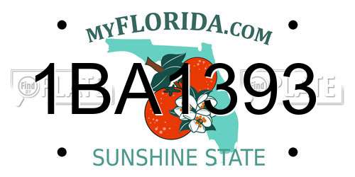 1BA1393 Florida License Plate