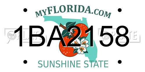 1BA2158 Florida License Plate