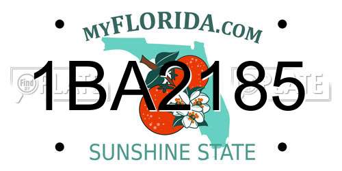 1BA2185 Florida License Plate