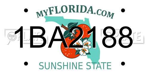 1BA2188 Florida License Plate