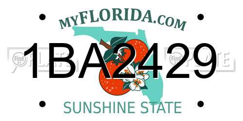 1BA2429 Florida License Plate