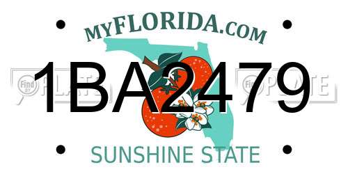 1BA2479 Florida License Plate