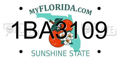 1BA3109 Florida License Plate