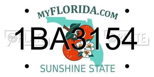 1BA3154 Florida License Plate