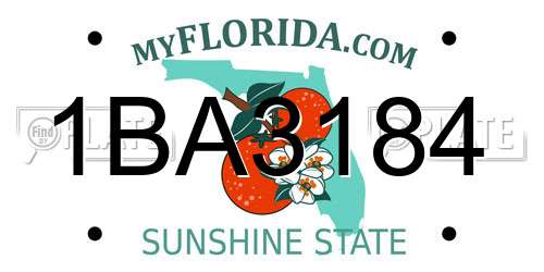 1BA3184 Florida License Plate