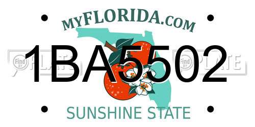 1BA5502 Florida License Plate