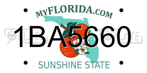1BA5660 Florida License Plate
