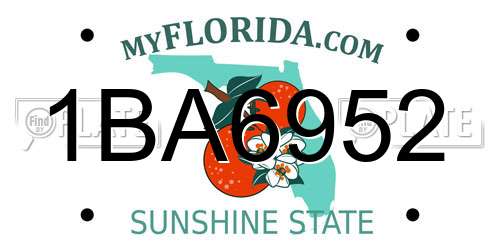 1BA6952 Florida License Plate