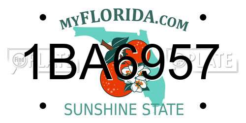 1BA6957 Florida License Plate
