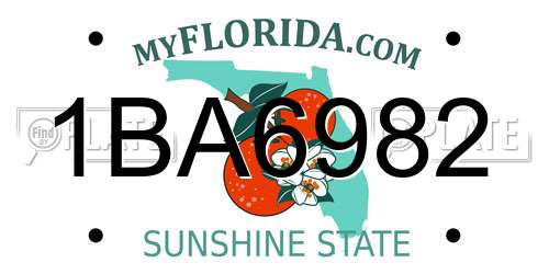 1BA6982 Florida License Plate